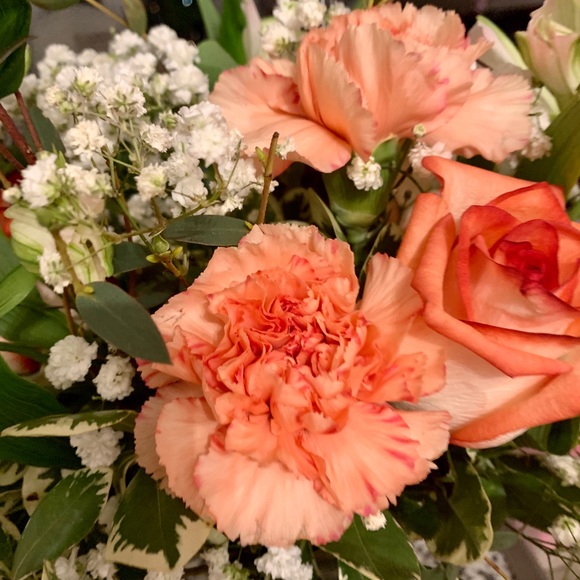 Meet your Posher, Michelle - Picture 1 of 1